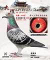 图片暂时未上传