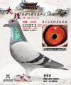 图片暂时未上传