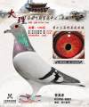 图片暂时未上传