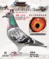 图片暂时未上传
