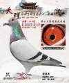 图片暂时未上传