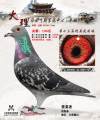图片暂时未上传