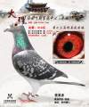 图片暂时未上传