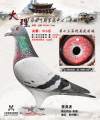 图片暂时未上传