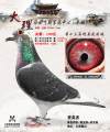 图片暂时未上传