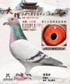 图片暂时未上传