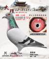 图片暂时未上传