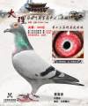 图片暂时未上传