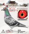 图片暂时未上传