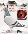 图片暂时未上传