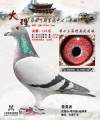 图片暂时未上传