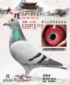 图片暂时未上传