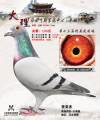图片暂时未上传