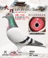 图片暂时未上传
