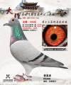 图片暂时未上传