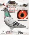 图片暂时未上传