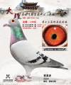 图片暂时未上传