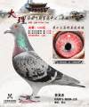 图片暂时未上传