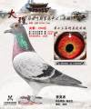 图片暂时未上传