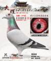 图片暂时未上传