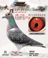 图片暂时未上传