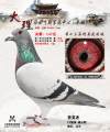 图片暂时未上传