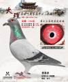 图片暂时未上传