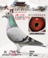 图片暂时未上传