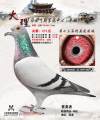 图片暂时未上传