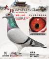 图片暂时未上传