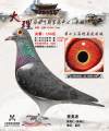 图片暂时未上传