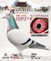 图片暂时未上传