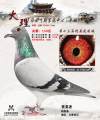图片暂时未上传