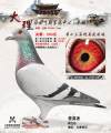 图片暂时未上传