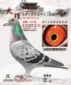 图片暂时未上传