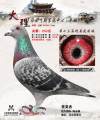 图片暂时未上传