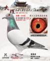 图片暂时未上传