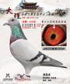 图片暂时未上传