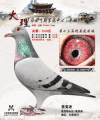 图片暂时未上传