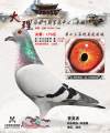图片暂时未上传