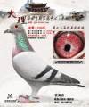 图片暂时未上传