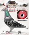 图片暂时未上传