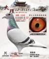 图片暂时未上传
