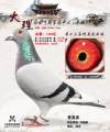 图片暂时未上传