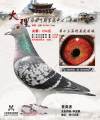 图片暂时未上传