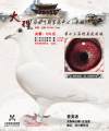 图片暂时未上传