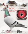 图片暂时未上传