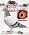 图片暂时未上传