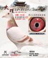 图片暂时未上传