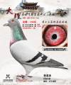 图片暂时未上传